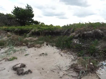 Halshuisene + Enebaerodde Beach (Denemarken)